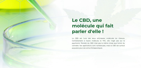 https://www.cbd-news.fr